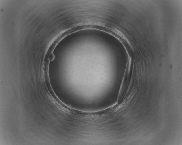 X0000072551068200607211353