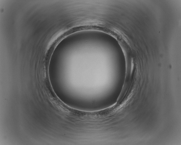 X0000072551069200607211353