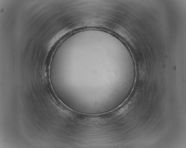 X0000072551070200607211353