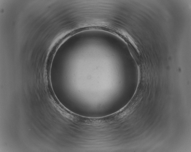 X0000072551072200607211353