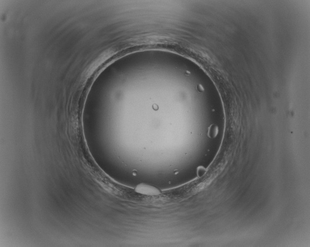 X0000072551073200607211353