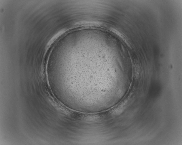 X0000072551074200607211353