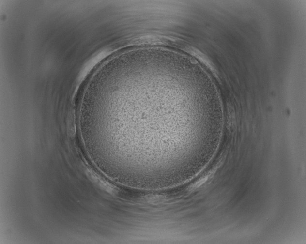 X0000072551075200607211353