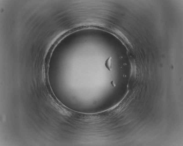 X0000072551076200607211353