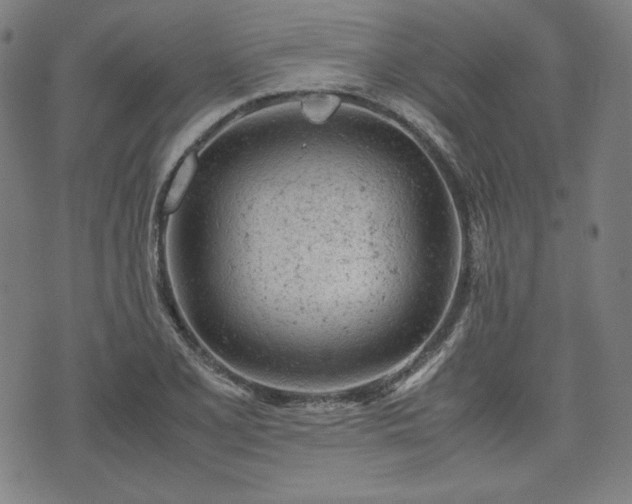 X0000072551077200607211353