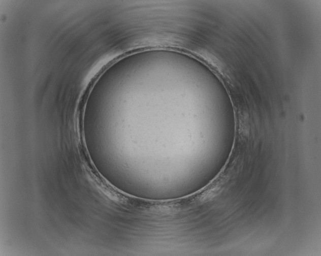 X0000072551078200607211353