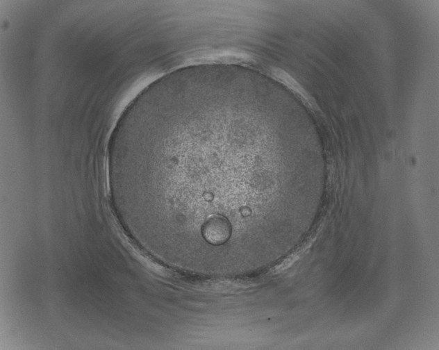 X0000072551079200607211353