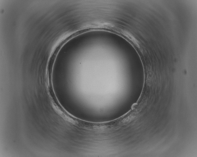 X0000072551080200607211353