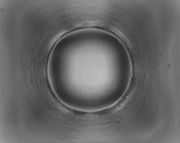 X0000072551081200607211353