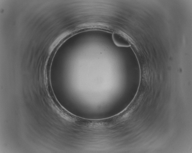 X0000072551082200607211353