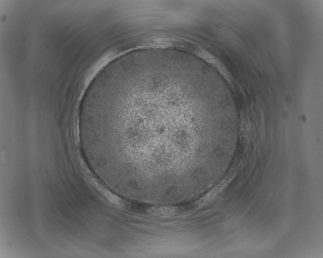 X0000072551083200607211353