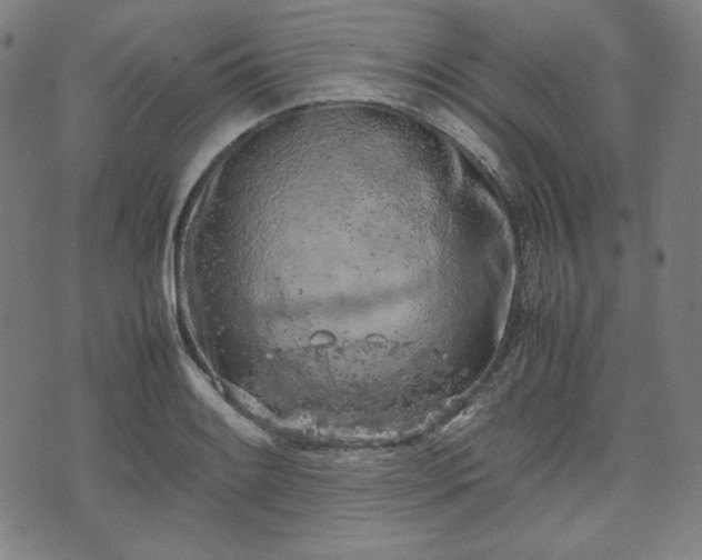 X0000072551084200607211353