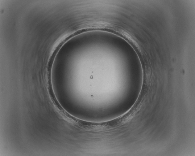 X0000072551085200607211353