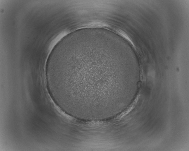 X0000072551087200607211353