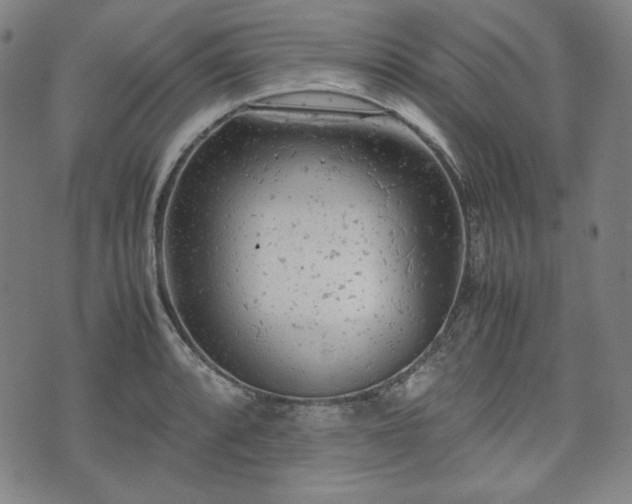 X0000072551088200607211353