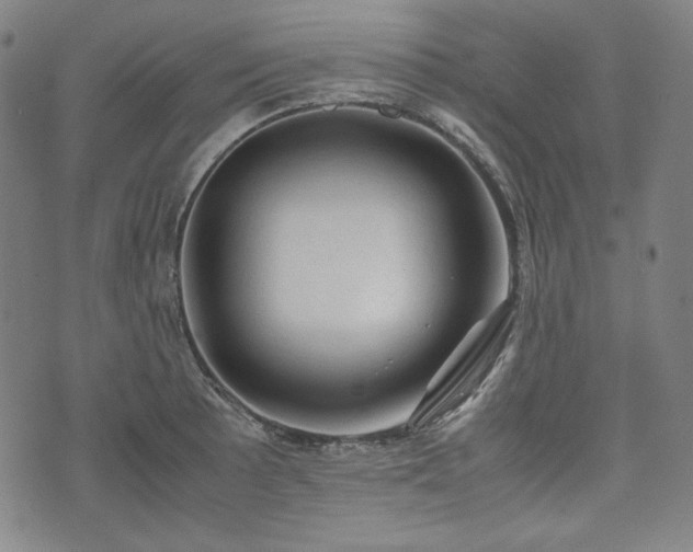 X0000072551089200607211353