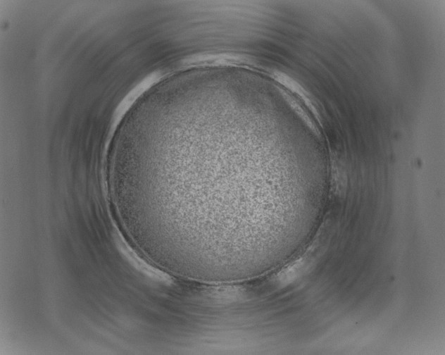 X0000072551090200607211353