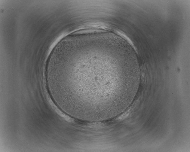 X0000072551091200607211353