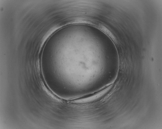 X0000072551092200607211353