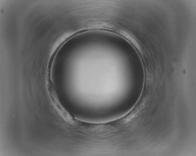 X0000072551093200607211353