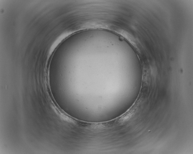 X0000072551094200607211353