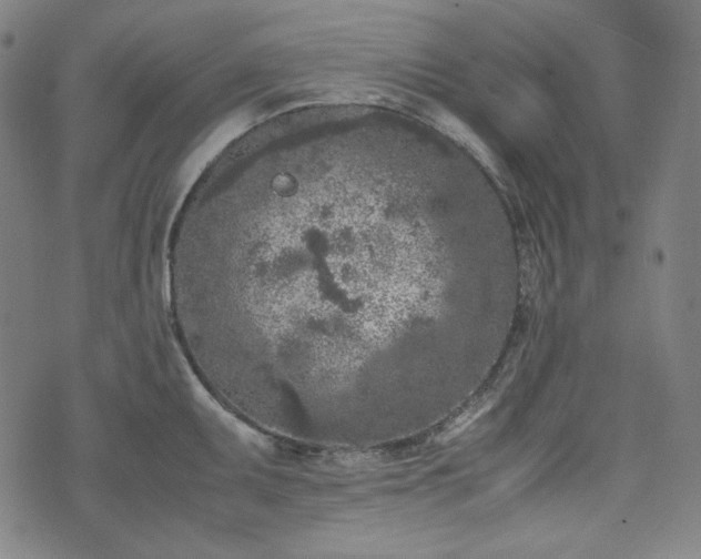 X0000072551095200607211353