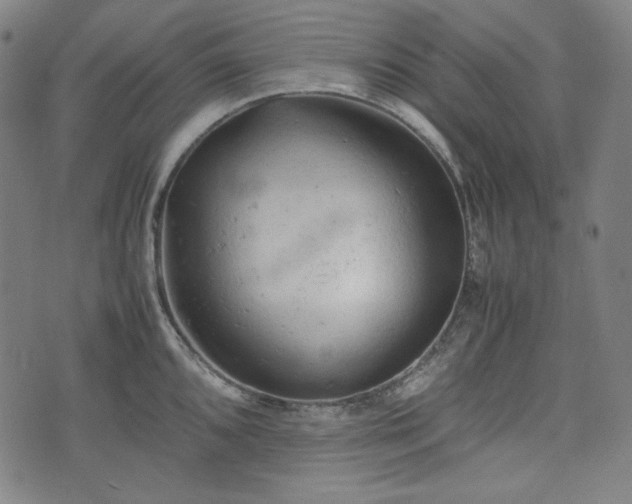 X0000072551096200607211353