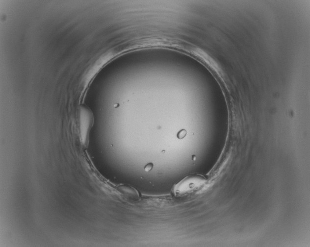 X0000072551097200607211353