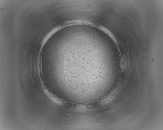 X0000072551098200607211353