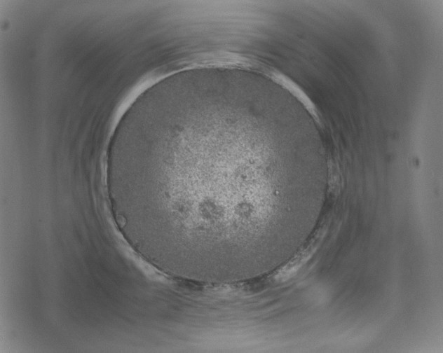 X0000072551099200607211353