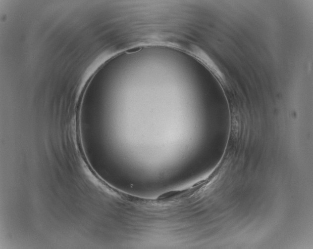 X0000072551100200607211353