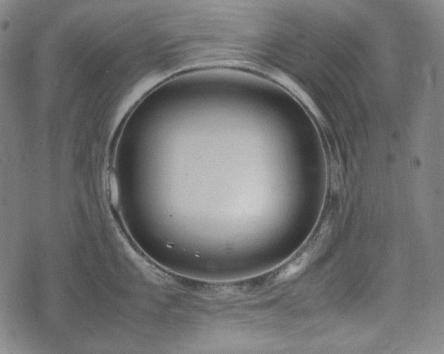 X0000072551101200607211353