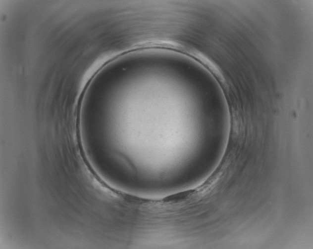 X0000072551102200607211353