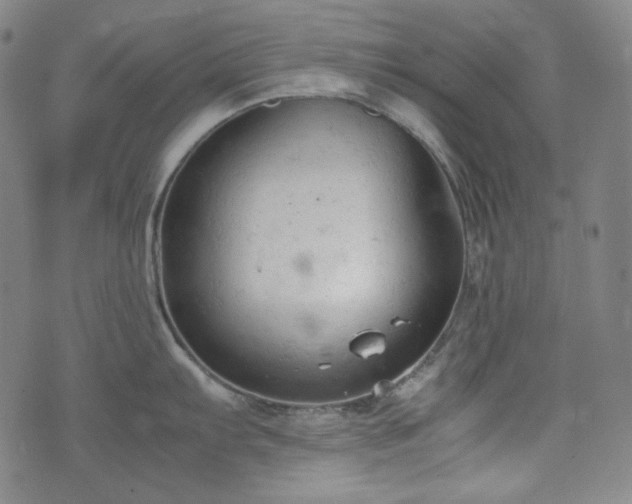 X0000072551103200607211353