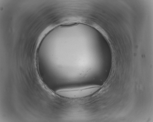 X0000072551104200607211353