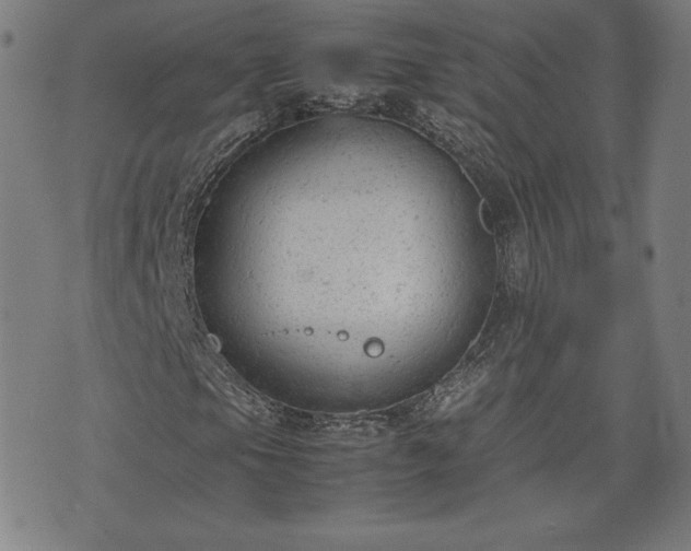 X0000072551105200607211352