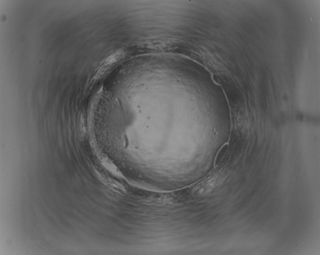 X0000072551106200607211352