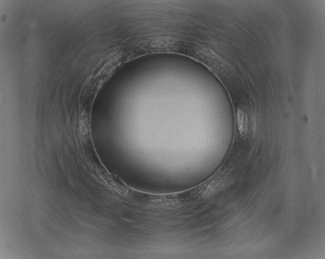 X0000072551107200607211352