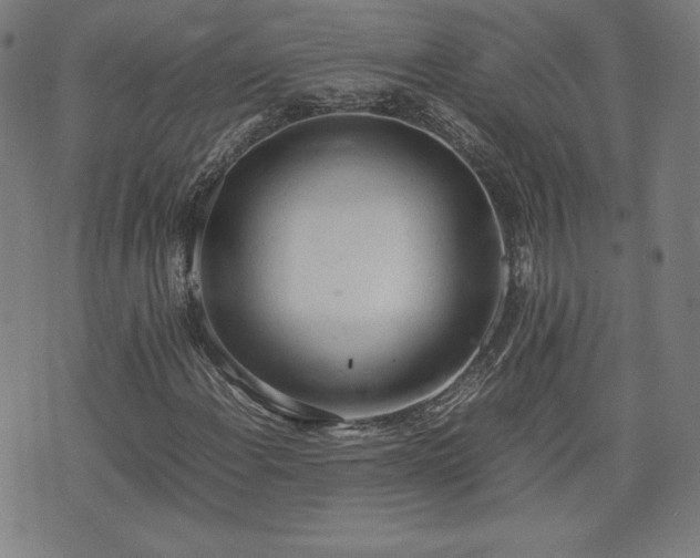 X0000072551108200607211352