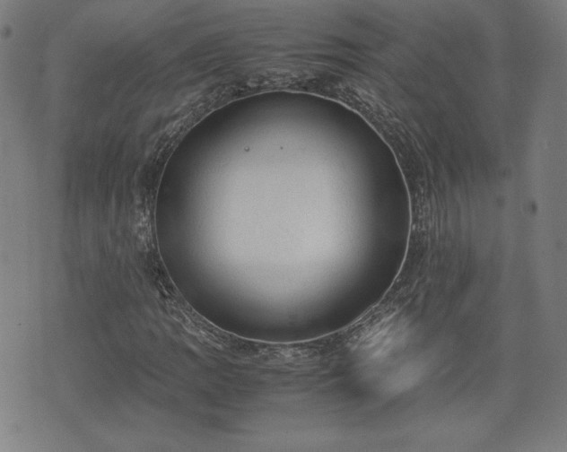 X0000072551109200607211352