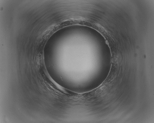 X0000072551110200607211352