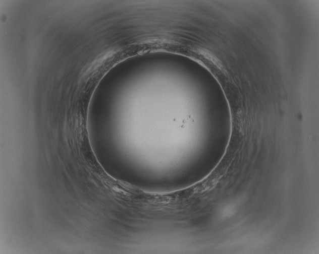 X0000072551111200607211352