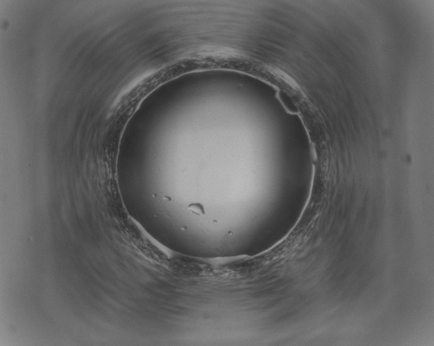 X0000072551112200607211352