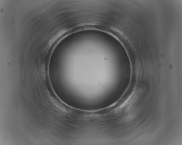 X0000072551113200607211352