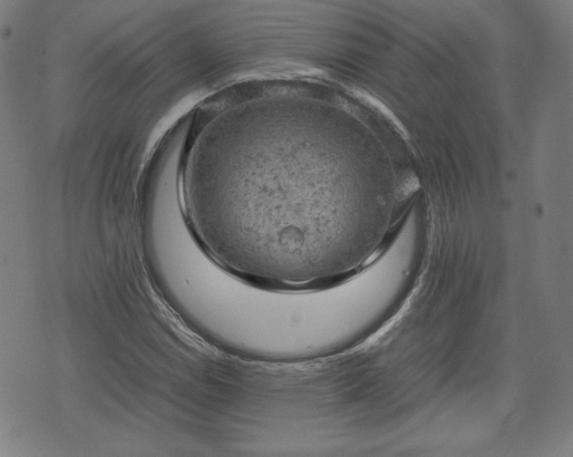 X0000072551114200607211352