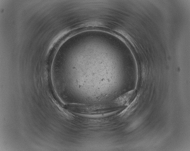 X0000072551115200607211352