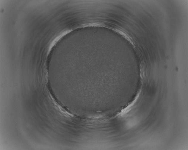 X0000072551117200607211352