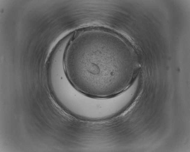 X0000072551118200607211352