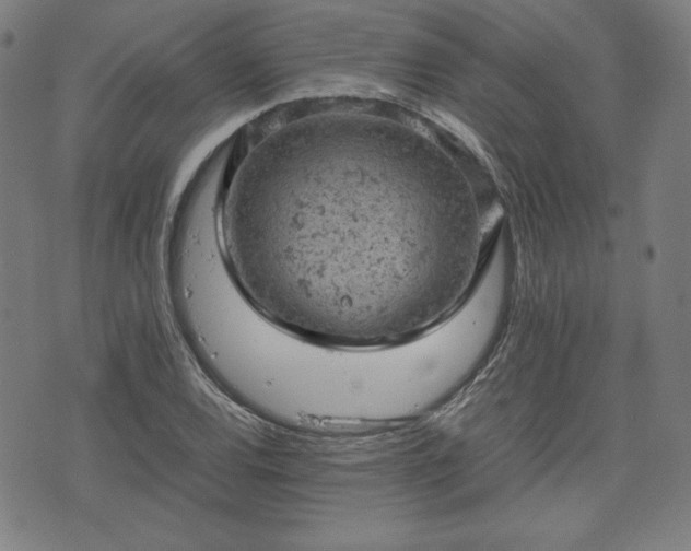 X0000072551120200607211352