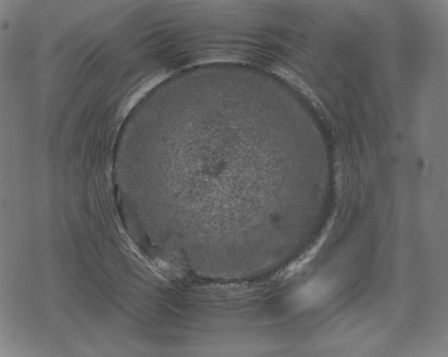 X0000072551121200607211352